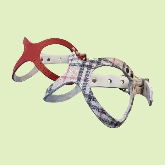 バディーベルト